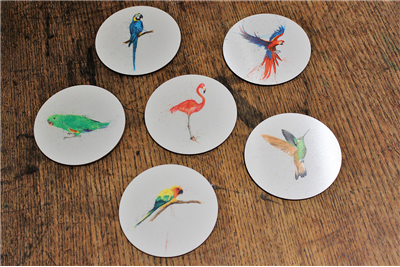 Clare Brownlow Tropical Birds Coasters - Set of 6